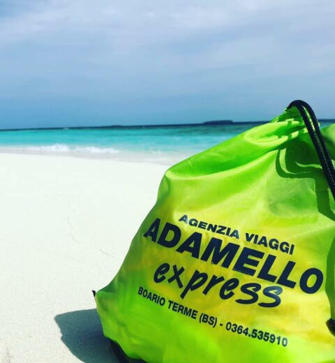 Serata al CirqueduSoleil ????